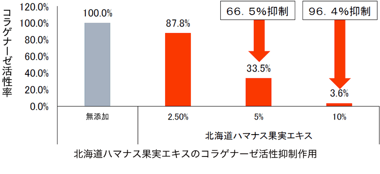 北海道ハマナス果実エキスのコラゲナーゼ活性抑制作用。