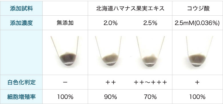 北海道ハマナス果実エキスのメラニン抑制作用